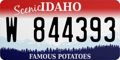 ID license plate W844393