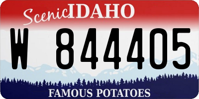 ID license plate W844405