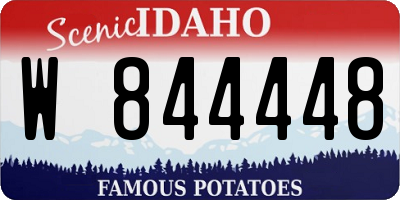 ID license plate W844448