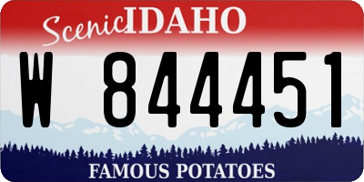 ID license plate W844451