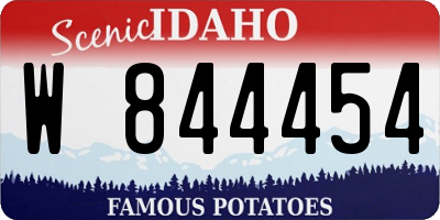 ID license plate W844454