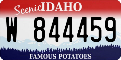 ID license plate W844459