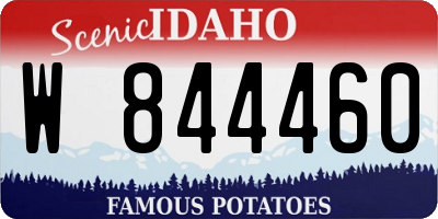ID license plate W844460