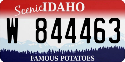ID license plate W844463