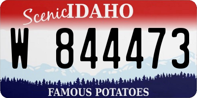 ID license plate W844473