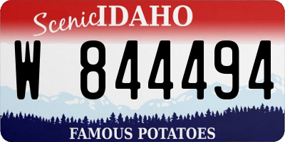 ID license plate W844494
