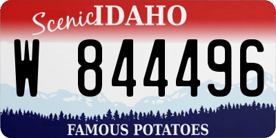 ID license plate W844496