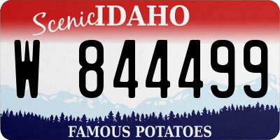 ID license plate W844499