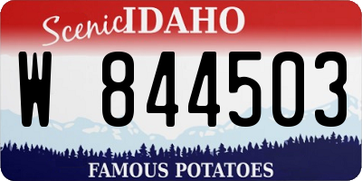 ID license plate W844503