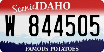 ID license plate W844505