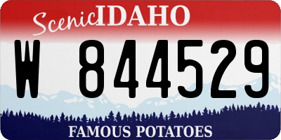 ID license plate W844529