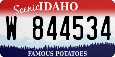 ID license plate W844534