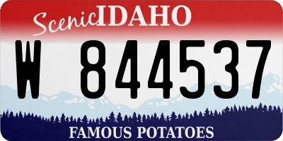 ID license plate W844537