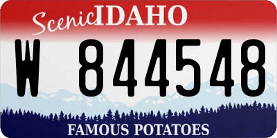 ID license plate W844548