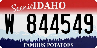 ID license plate W844549