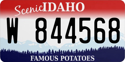 ID license plate W844568
