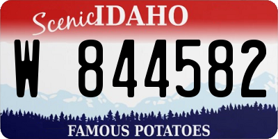 ID license plate W844582