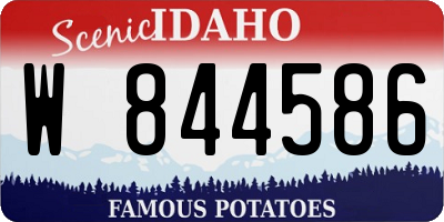 ID license plate W844586