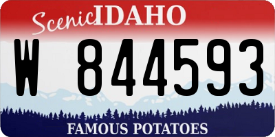 ID license plate W844593