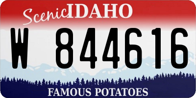 ID license plate W844616