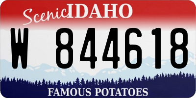 ID license plate W844618
