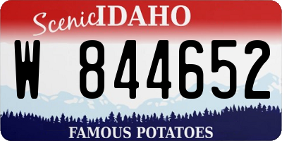 ID license plate W844652