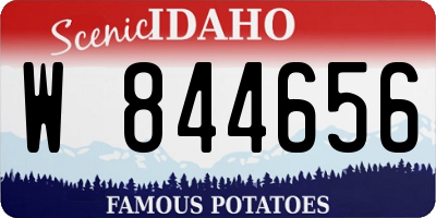 ID license plate W844656