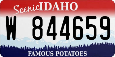 ID license plate W844659