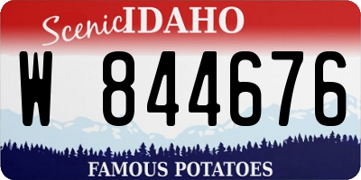 ID license plate W844676