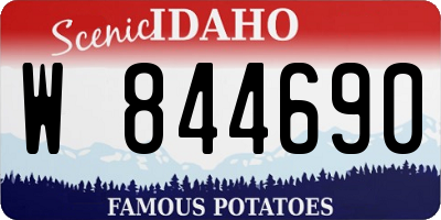 ID license plate W844690
