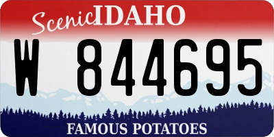 ID license plate W844695