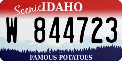 ID license plate W844723