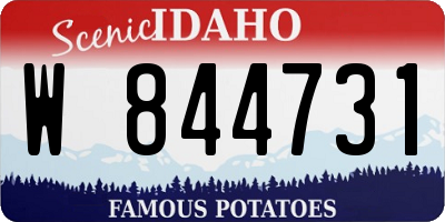 ID license plate W844731