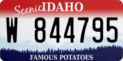 ID license plate W844795