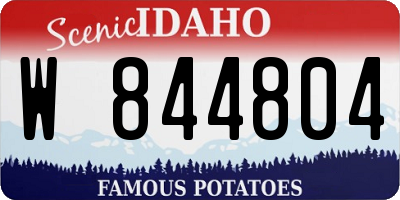 ID license plate W844804
