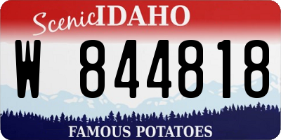 ID license plate W844818