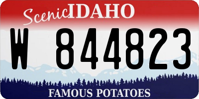 ID license plate W844823