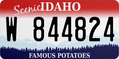 ID license plate W844824