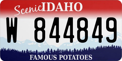 ID license plate W844849