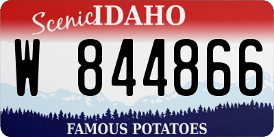 ID license plate W844866