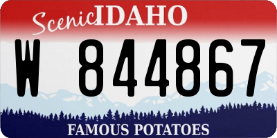 ID license plate W844867