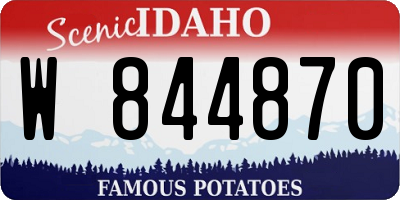 ID license plate W844870