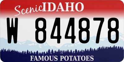 ID license plate W844878