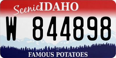 ID license plate W844898