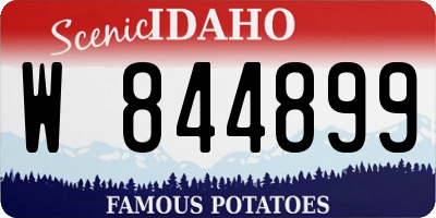 ID license plate W844899