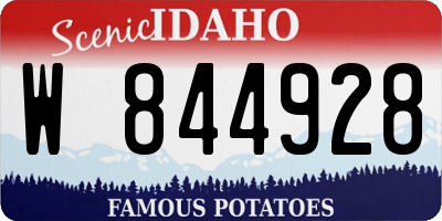 ID license plate W844928