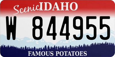 ID license plate W844955