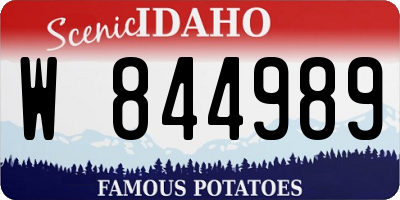 ID license plate W844989