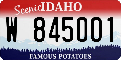 ID license plate W845001