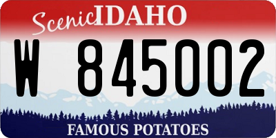 ID license plate W845002